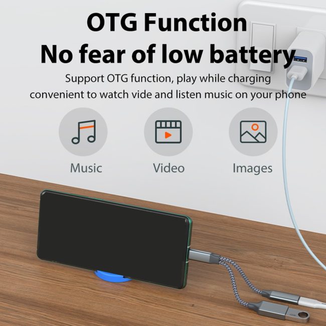 USB C OTG Phone Adapter USB C 2.0 Charging-Port with 10WPD Adapter Fit for Cellphone Laptop 13cm