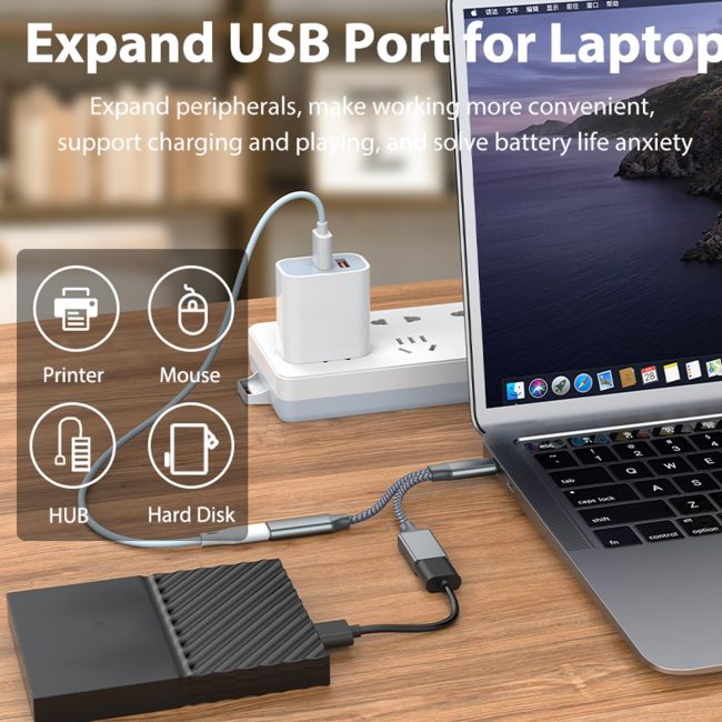 USB C OTG Phone Adapter USB C 2.0 Charging-Port with 10WPD Adapter Fit for Cellphone Laptop 13cm